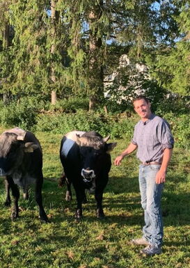 Thierry Froidevaux au pâturage avec deux de ses vaches mères grises
