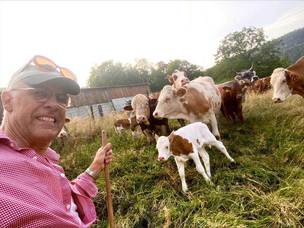 Oliver Boillat prend un selfie devant les vaches allaitantes et les veaux de son fils.