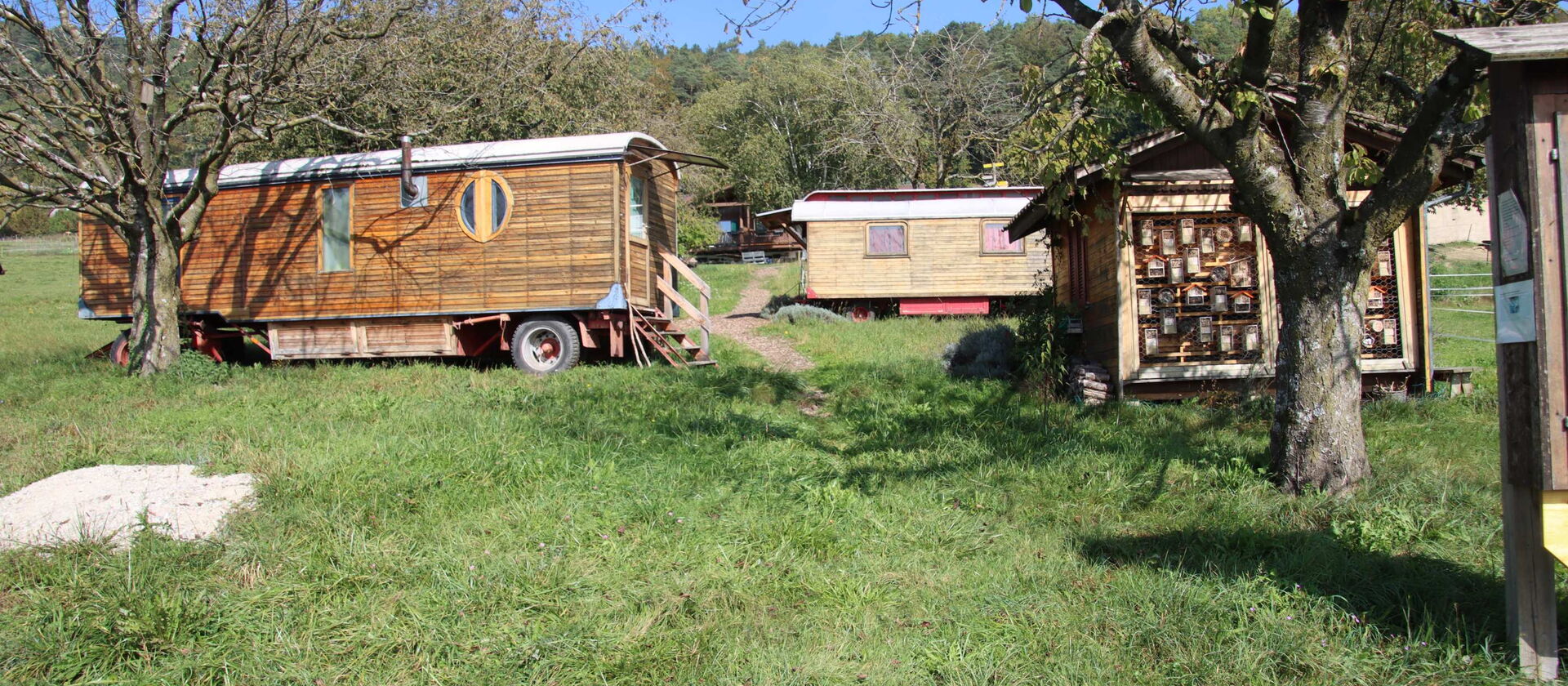 Lea und Ben Übernachtung im Zirkuswagen