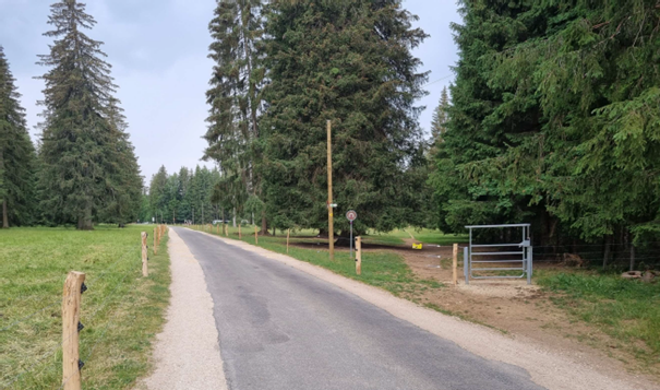 Vue de la route entre le camping de Saignelégier et Sous le Bémont. De chaque côté de la route, il y a une clôture pour protéger les touristes.