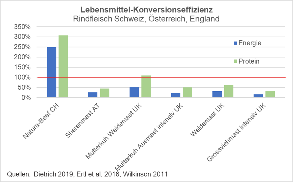 Quantité d’énergie et de protéines contenue dans la viande de bœuf par rapport aux nutriments assimilables par les êtres humains contenus dans le fourrage.