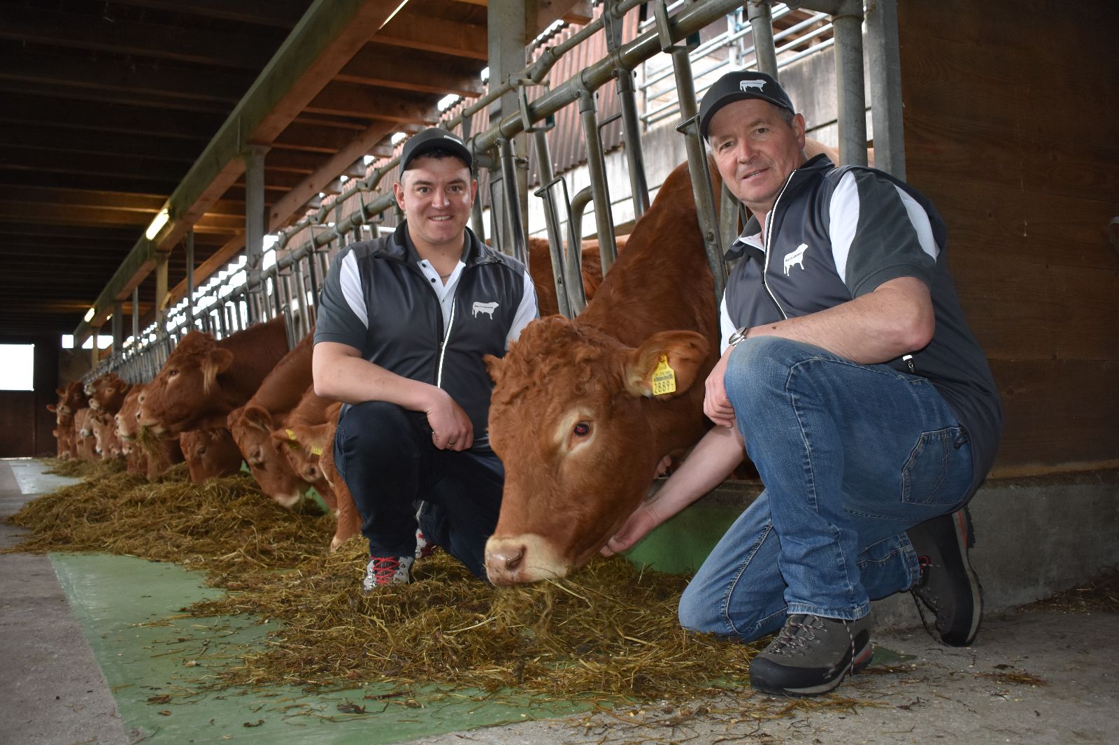 L’allevamento di vacche e tori di razza Limousine sta a cuore a tutta la famiglia Burri (foto messa gentilmente a disposizione)