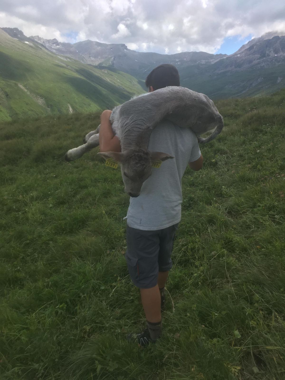 Ciò che conta di più per noi sono la salute e il benessere dei nostri vitelli. Nessuna fatica è di troppo. Se occorre, li portiamo in palmo di mano – o più esattamente sulle spalle.