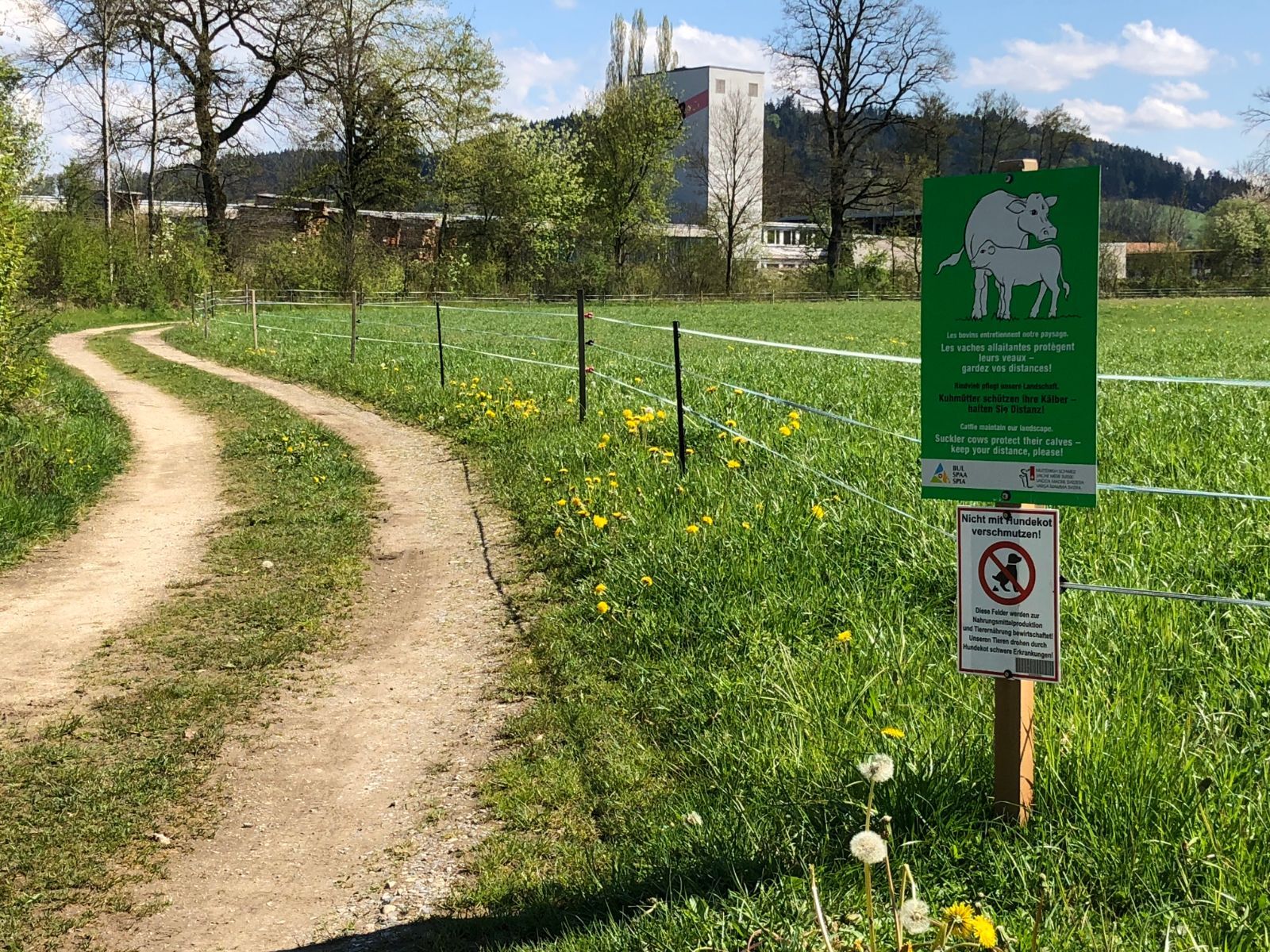 Pascolo recintato con cartelli di avvertimento