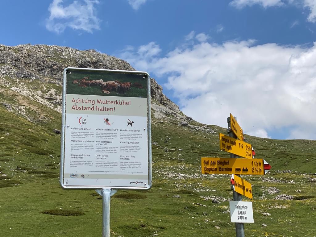 Lorsqu’elles sont placées aux bons endroits, les pancartes attirent l’attention sur le comportement correct à adopter envers les vaches mères et leurs veaux.