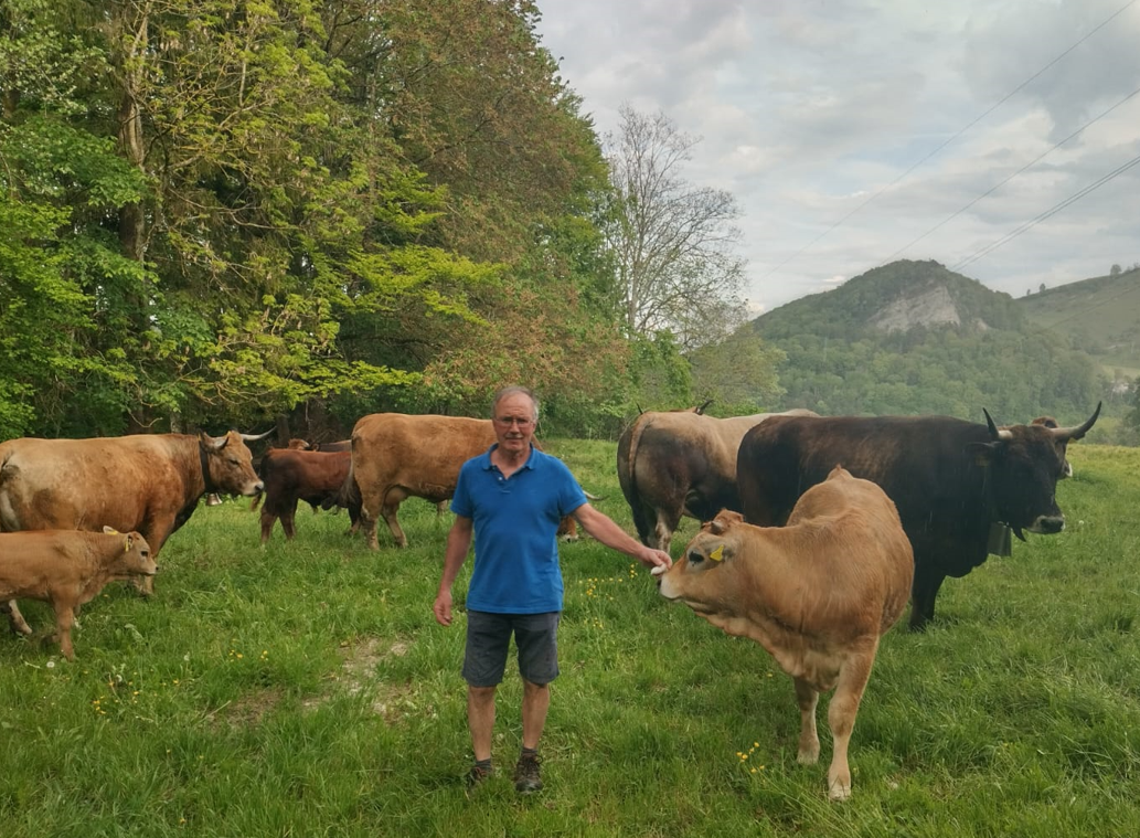 Portrait Martin Hengartner