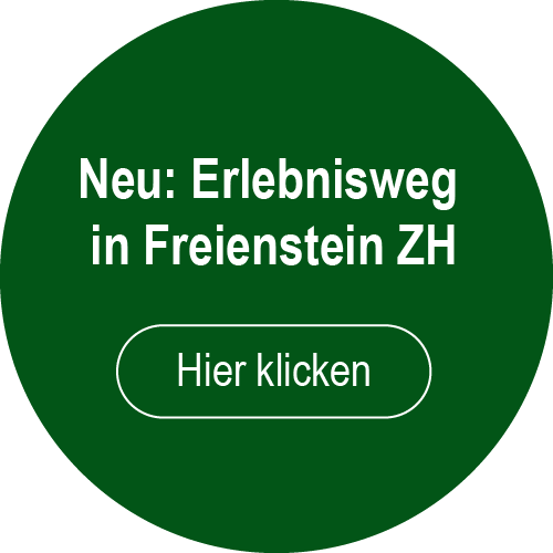 Erlebnisweg in Freienstein ZH